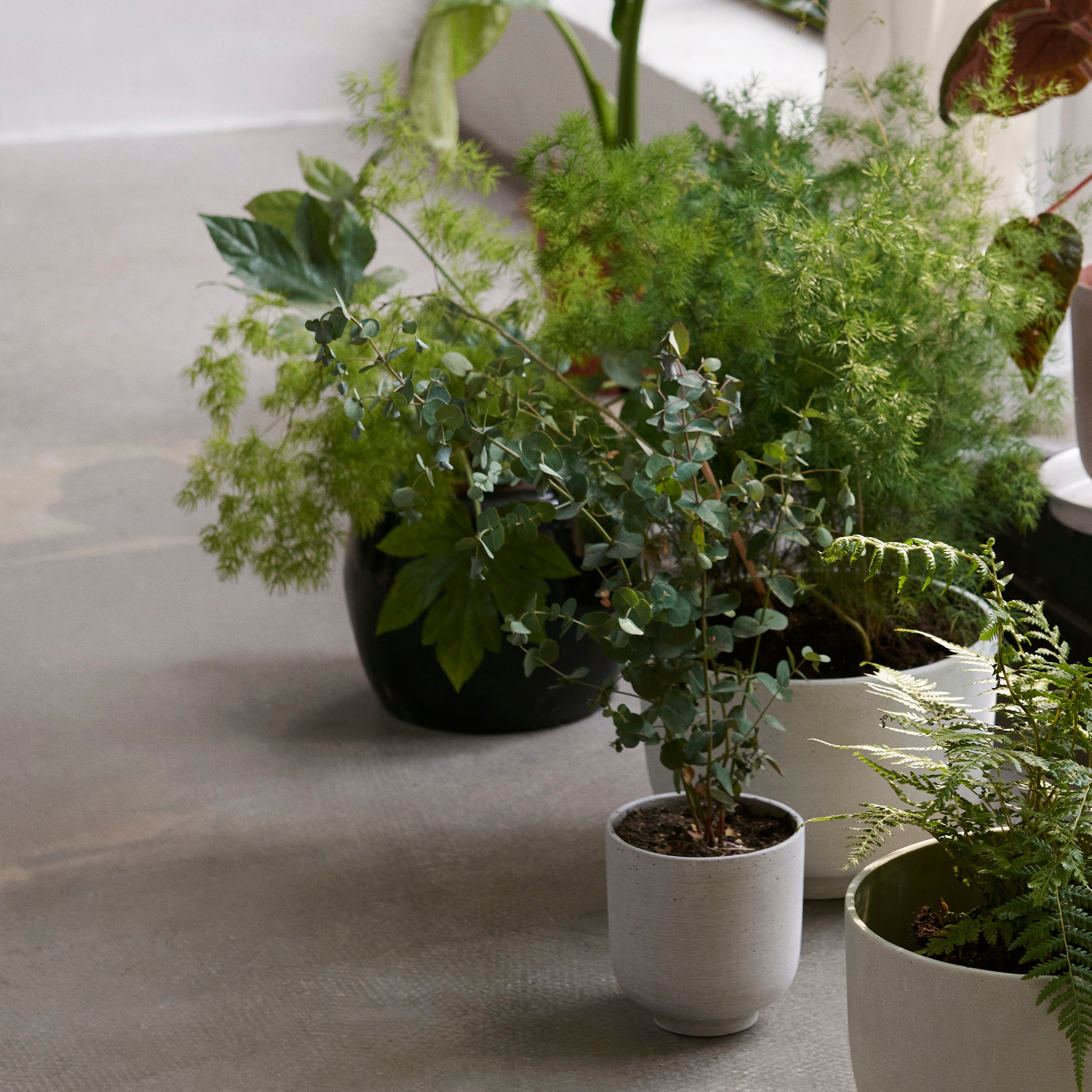 Collect Planters