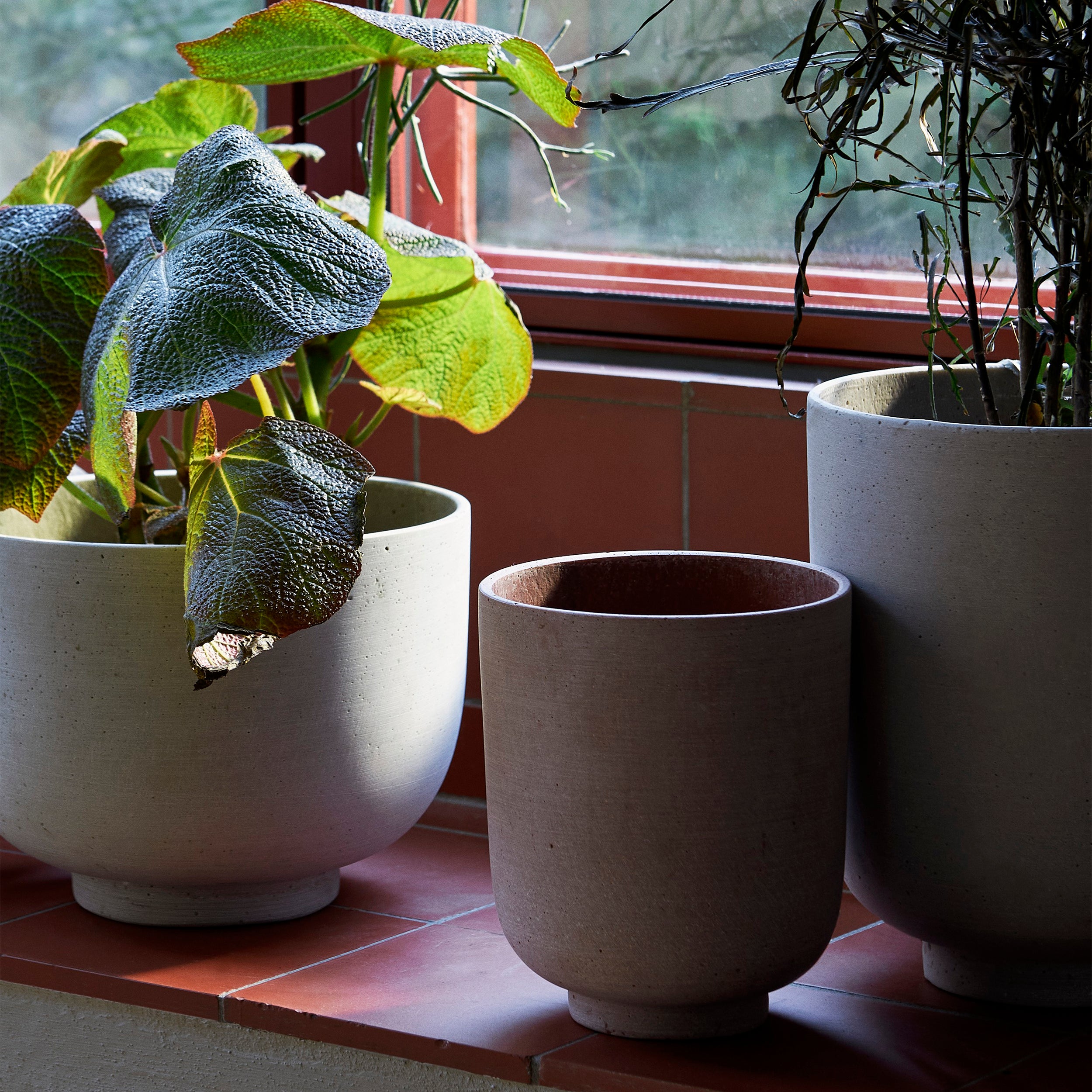 Collect Planters